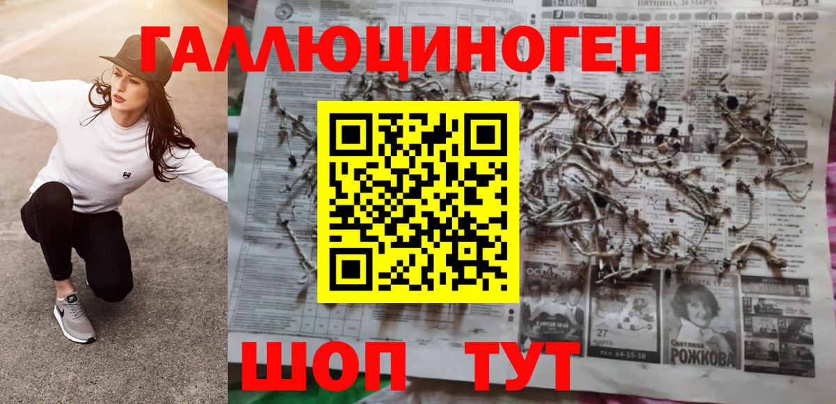 Галлюциногенные грибы Magic Shrooms  Галлюциногенные грибы Psilocybe  купить наркотик  Вход с VPN  Вятские Поляны 