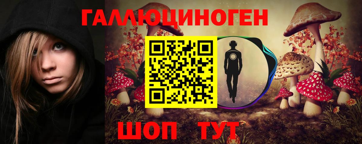 Псилоцибиновые грибы Psilocybe Вятские Поляны